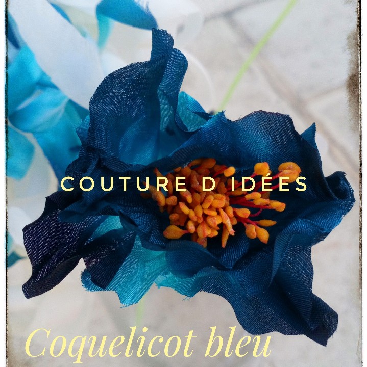 Coquelicot bleu